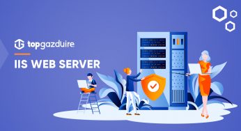 IIS Web Server