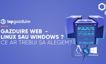 Găzduire Web - Linux sau Windows ? Ce ar trebui să alegem ?