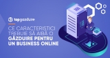 Ce caracteristici trebuie să aibă o găzduire pentru un business online