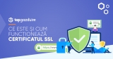 Ce este și cum funcționează certificatul SSL