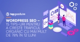 WordPress SEO – 15 tips-uri pentru a crește traficul organic cu mai mult de 78% în 12 luni