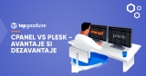cPanel vs Plesk – avantaje si dezavantaje