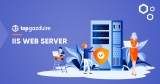 IIS Web Server